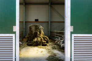 Geitenstal Lunteren – foto 11